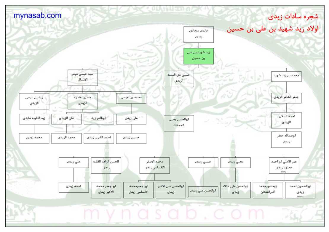 Syed And Sadat Genealogy Syed Family Tree Shajra